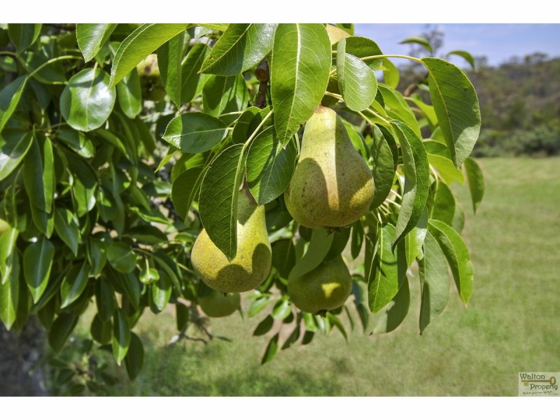 1857 Bells Line of Road, Kurrajong Heights NSW 2758