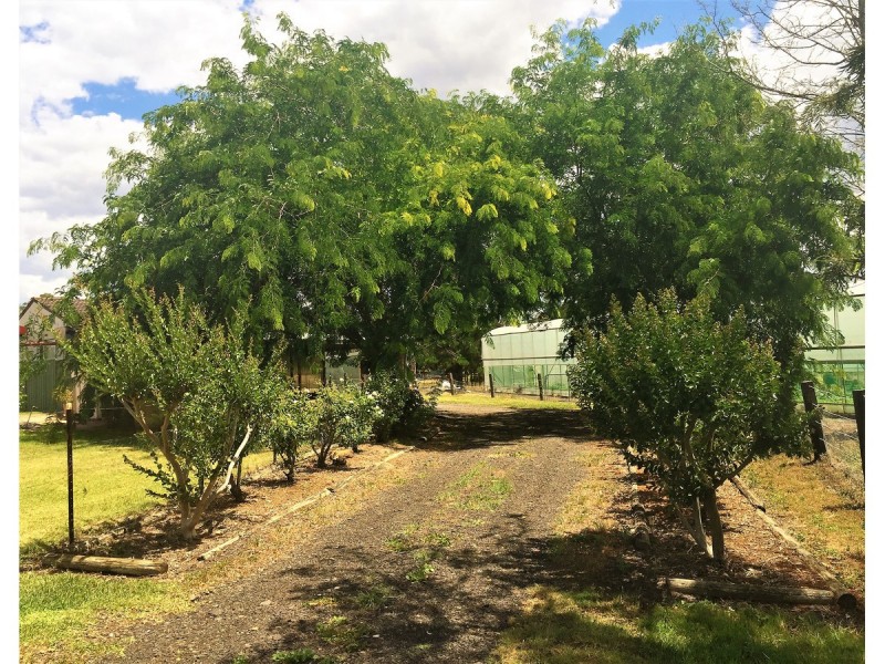 Freemans Reach NSW 2756