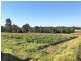 59 Bull Ridge Road, East Kurrajong NSW 2758