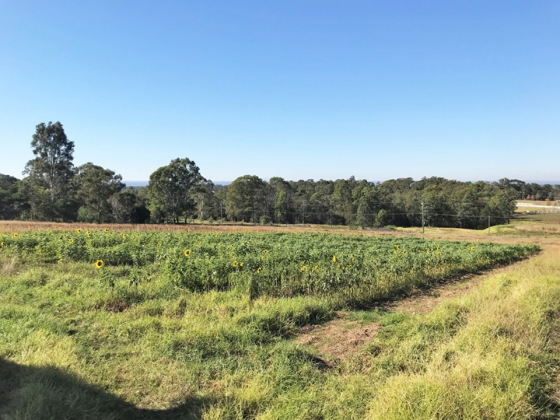 59 Bull Ridge Road, East Kurrajong NSW 2758