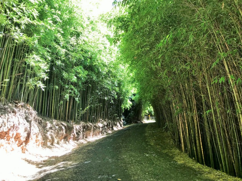 Kurrajong Hills NSW 2758