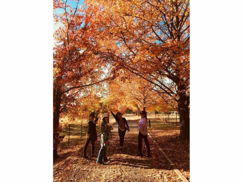 Agnes Banks NSW 2753