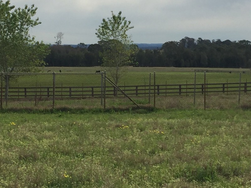 Orchard Hills NSW 2748