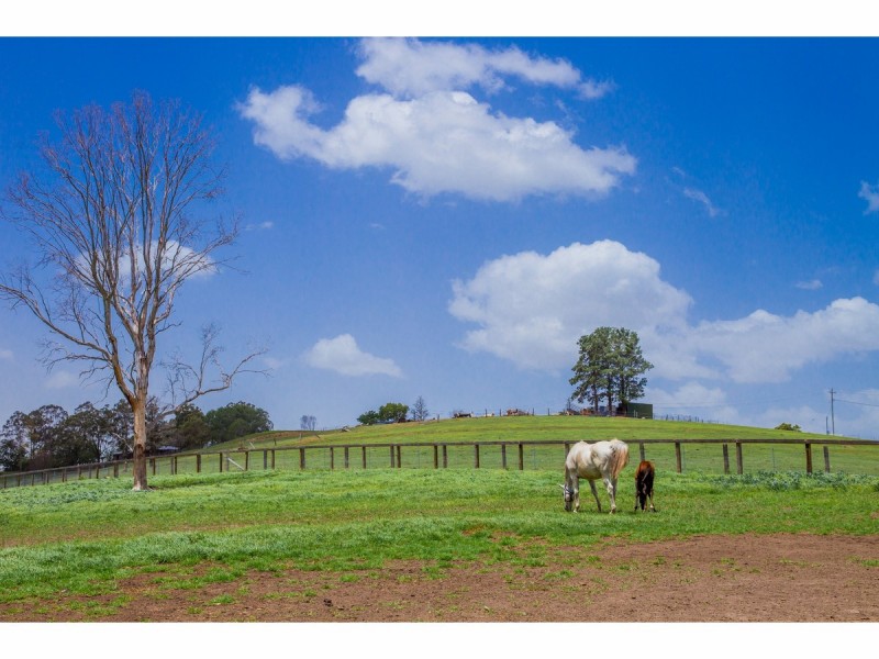 31 Browns Road, Kurrajong NSW 2758