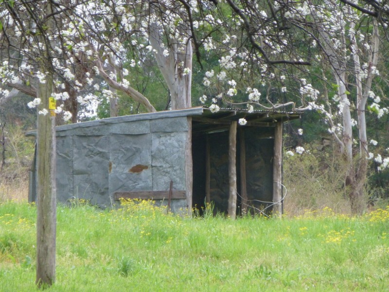 111 Boundary Road, Glossodia NSW 2756