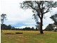 Londonderry NSW 2753