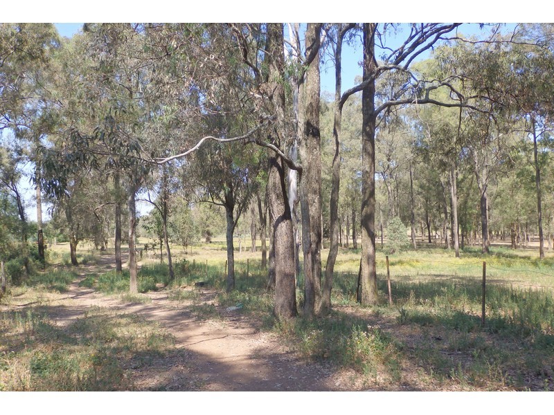 Freemans Reach NSW 2756