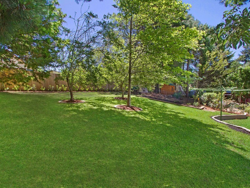 8 Central Street, Wentworth Falls NSW 2782