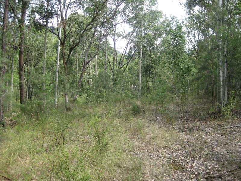 L22 Wallaby Gully Road, Ellalong NSW 2325