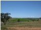 421-426 Mistletoe Lane, Pokolbin NSW 2320