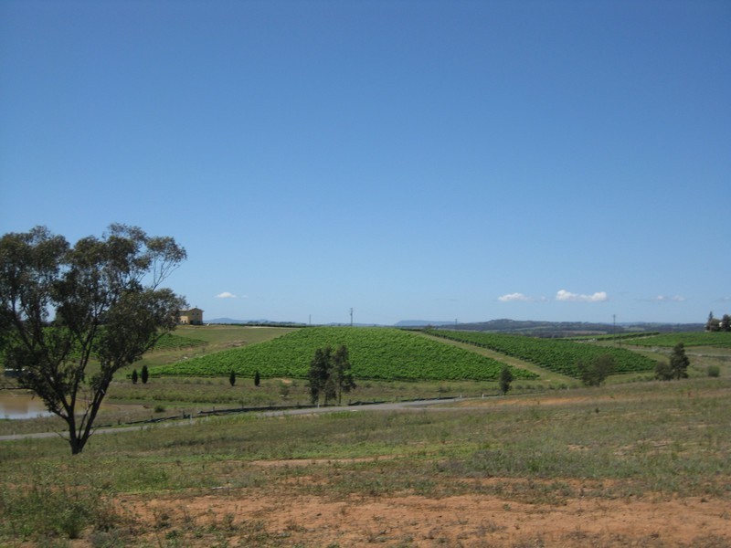 421-426 Mistletoe Lane, Pokolbin NSW 2320