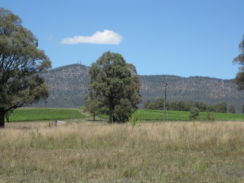 421-426 Mistletoe Lane, Pokolbin NSW 2320