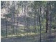 Lot 26 Congewai Road, Congewai NSW 2325