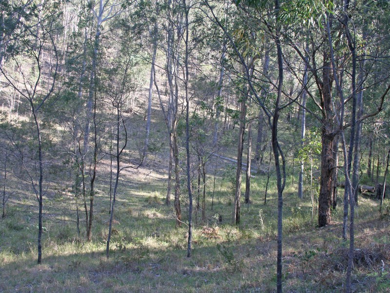 Lot 26 Congewai Road, Congewai NSW 2325
