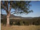 Lot 26 Congewai Road, Congewai NSW 2325