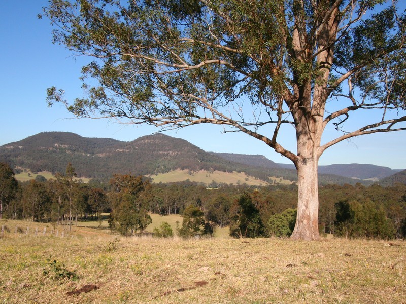 Lot 26 Congewai Road, Congewai NSW 2325