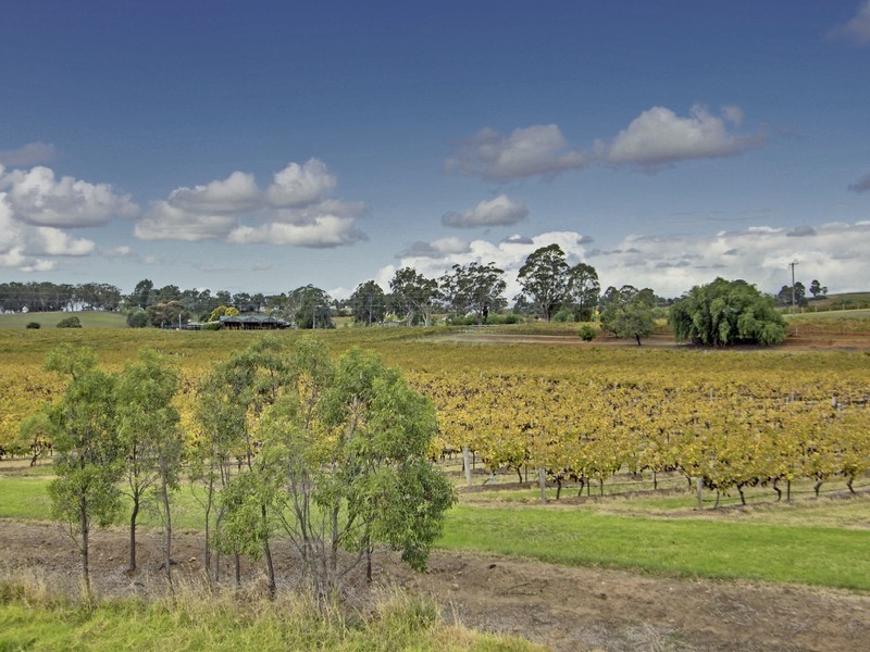 16 Pokolbin Mountain Road, Pokolbin NSW 2320