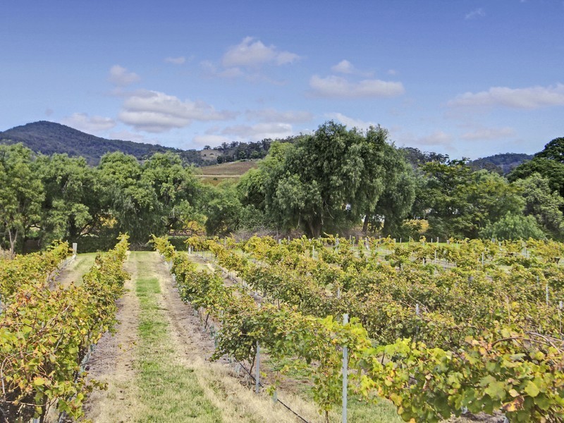 16 Pokolbin Mountain Road, Pokolbin NSW 2320