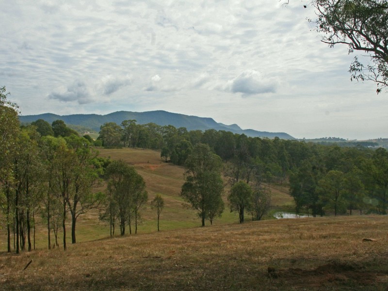 L320 Marrowbone Road, Pokolbin NSW 2320