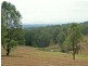 L320 Marrowbone Road, Pokolbin NSW 2320