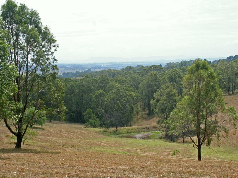 L320 Marrowbone Road, Pokolbin NSW 2320