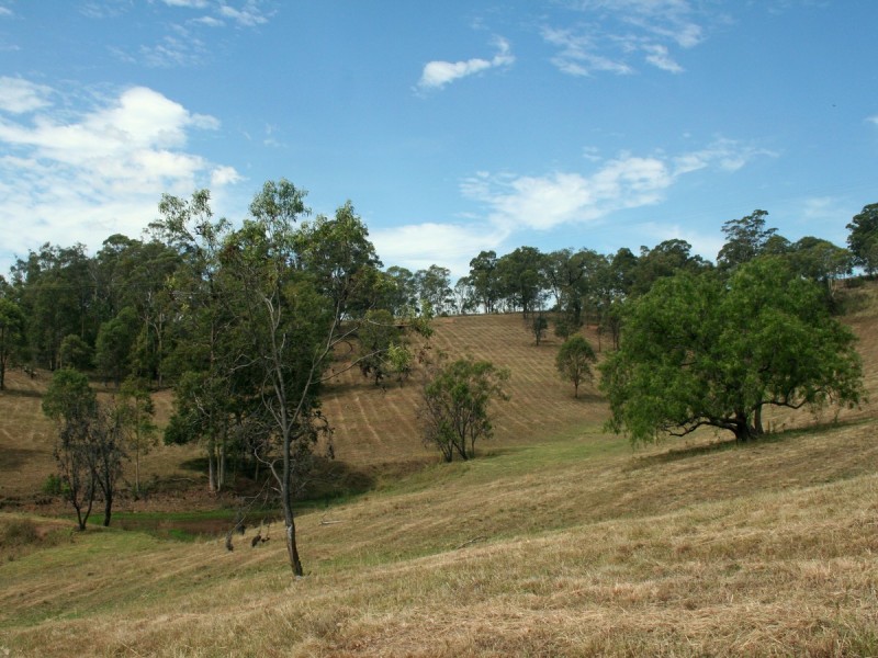 L320 Marrowbone Road, Pokolbin NSW 2320