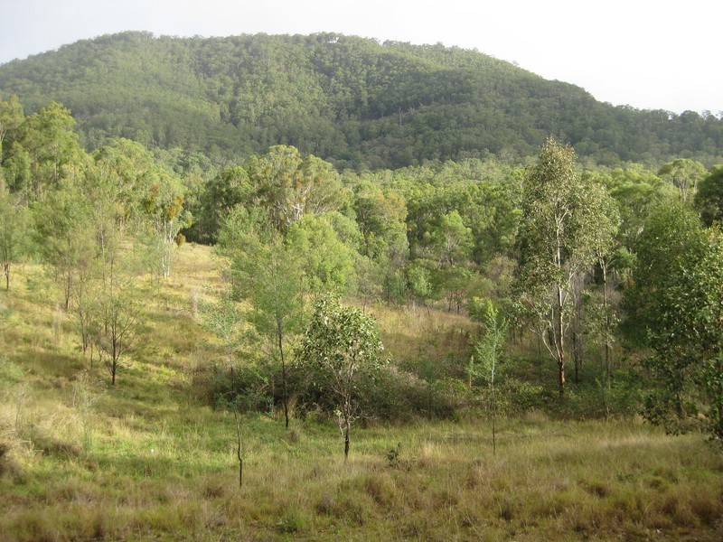 L4 Wallaby Gully Road, Ellalong NSW 2325