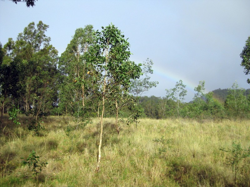 L4 Wallaby Gully Road, Ellalong NSW 2325