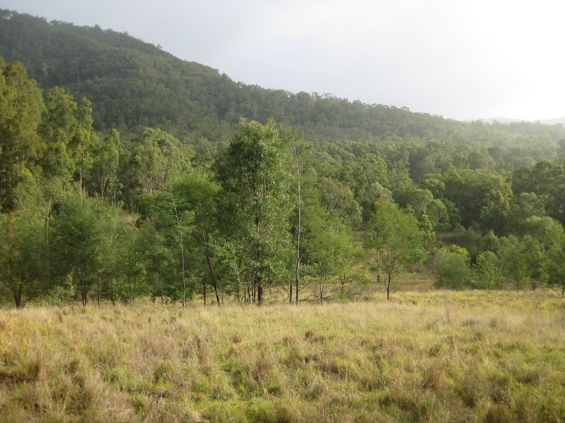 L4 Wallaby Gully Road, Ellalong NSW 2325