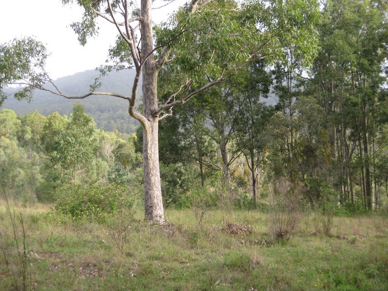 L4 Wallaby Gully Road, Ellalong NSW 2325