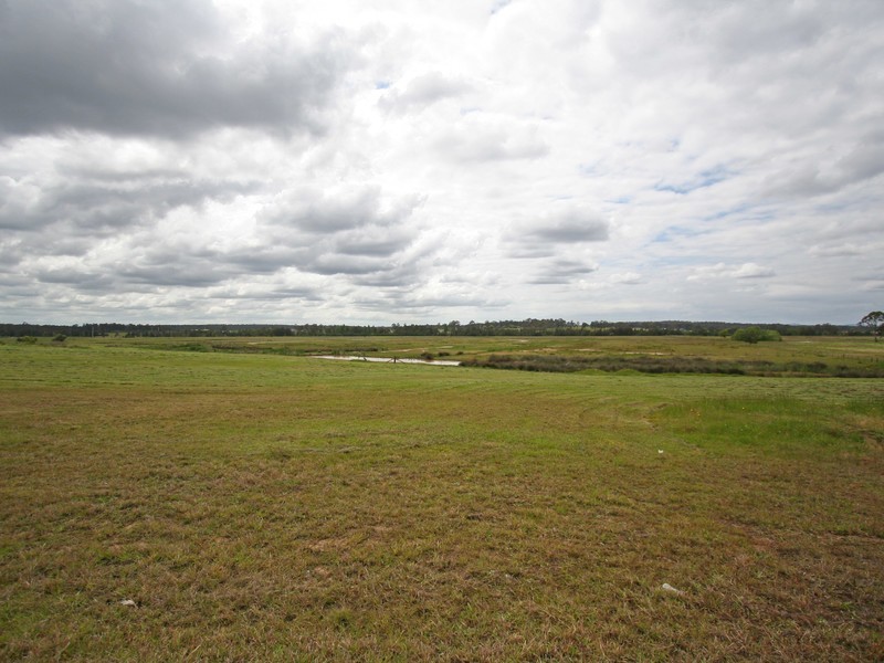 64 Wine Country Drive, Nulkaba NSW 2325