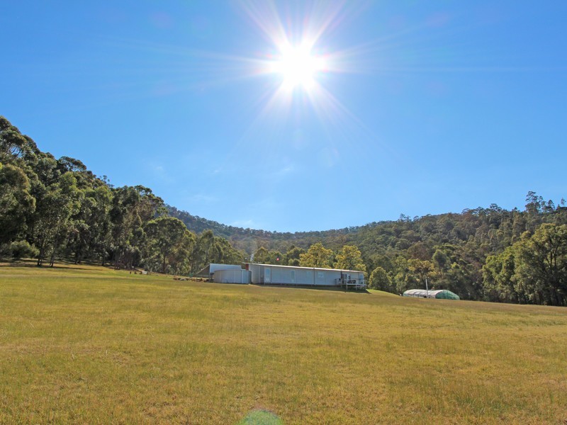 204 Thompsons Road, Milbrodale NSW 2330