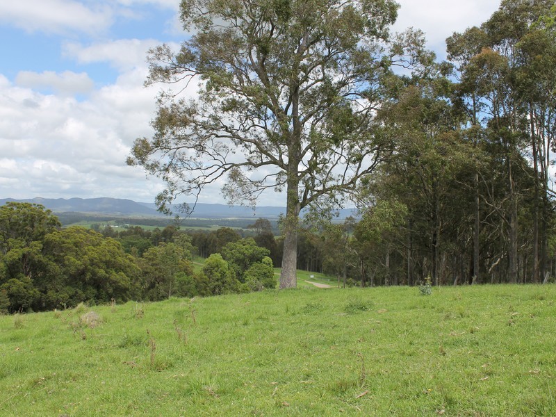 Lot 2 Wollong Road, Quorrobolong NSW 2325