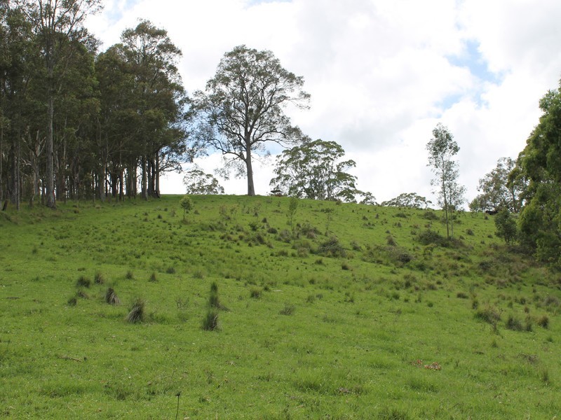 Lot 2 Wollong Road, Quorrobolong NSW 2325