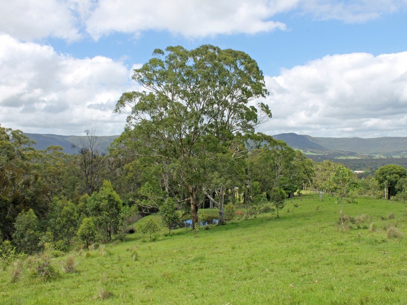 Lot 2 Wollong Road, Quorrobolong NSW 2325