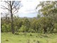 Lot 2 Wollong Road, Quorrobolong NSW 2325