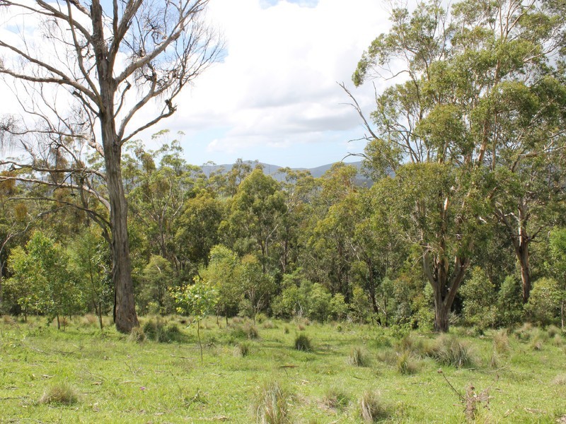 Lot 2 Wollong Road, Quorrobolong NSW 2325