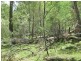 Lot 207, 636 Finchley Track, Wollombi NSW 2325