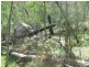 Lot 207, 636 Finchley Track, Wollombi NSW 2325