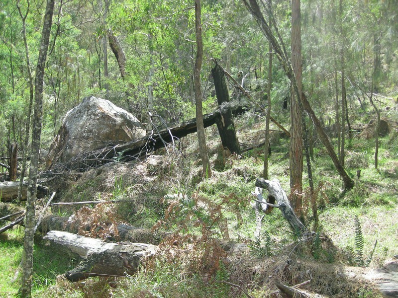 Lot 207, 636 Finchley Track, Wollombi NSW 2325