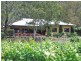 940 Milbrodale Road, Broke NSW 2330