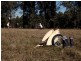 Robertson Circuit, Sedgefield NSW 2330