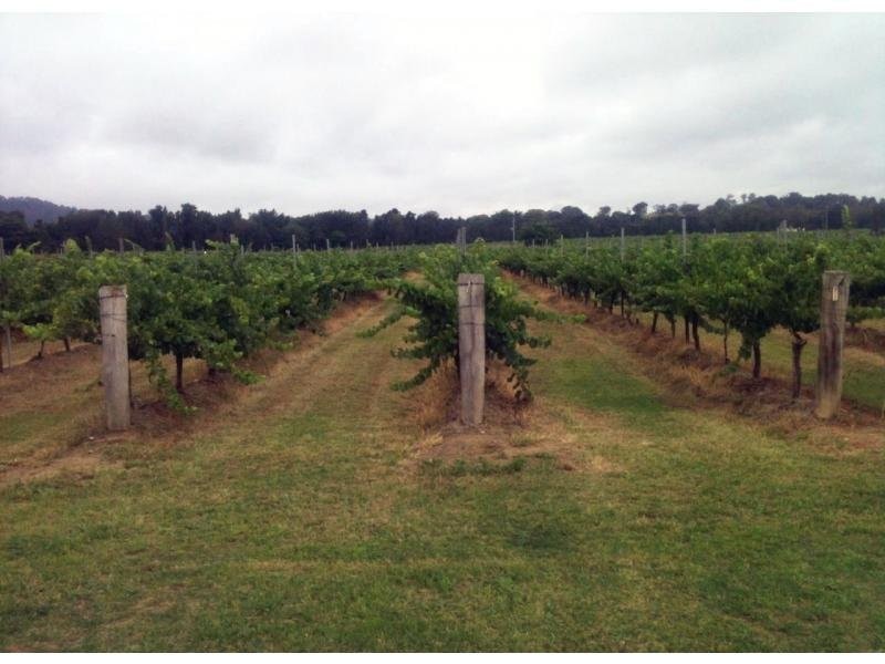 386 Wilderness Road, Lovedale NSW 2325