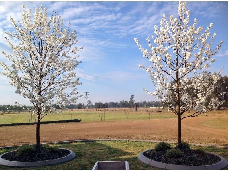 386 Wilderness Road, Lovedale NSW 2325