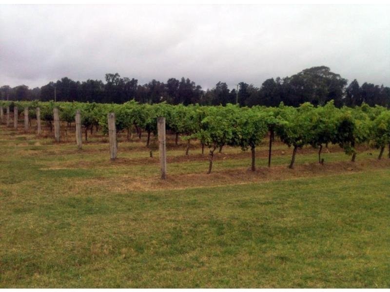 386 Wilderness Road, Lovedale NSW 2325