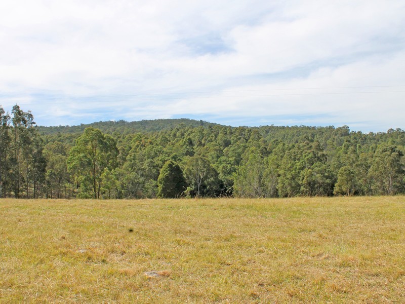 Lot 200 Lewis Lane, Millfield NSW 2325