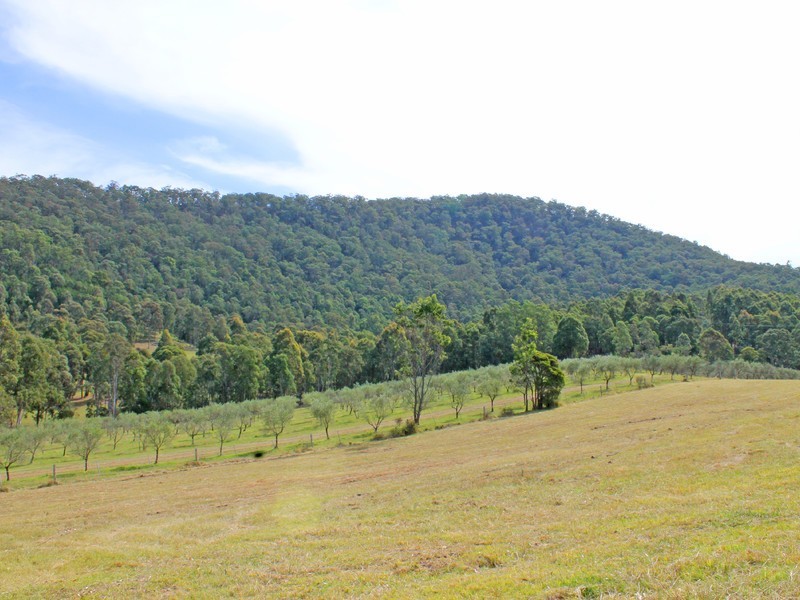 Lot 200 Lewis Lane, Millfield NSW 2325
