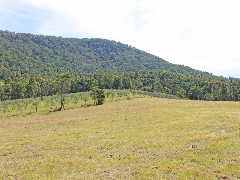 Lot 200 Lewis Lane, Millfield NSW 2325