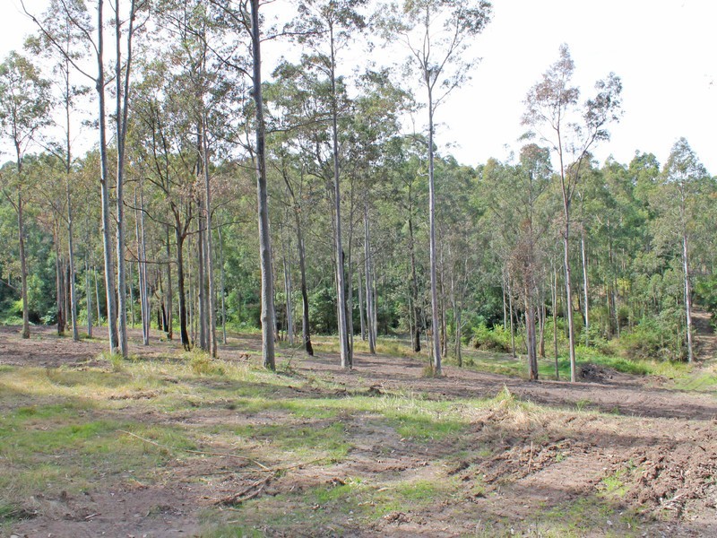 Lot 200 Lewis Lane, Millfield NSW 2325