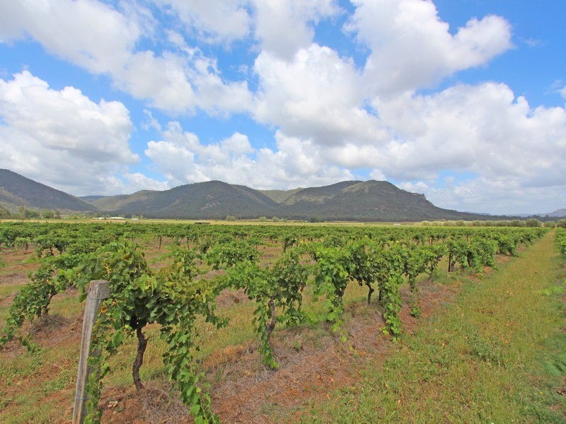 397 Milbrodale Road, Broke NSW 2330